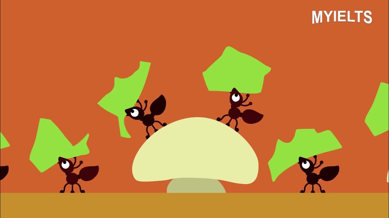 Collecting Ant Specimens YouTube