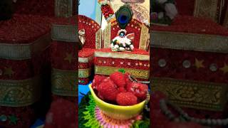 গোপাল সোনার ভোগ দর্শন krishnashorts  laddugopal status reels viral