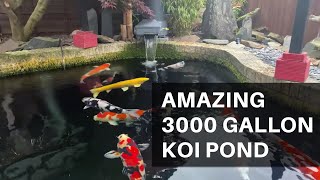 Amazing 3000 gallon Koi Pond, and SUPERB BONSAI!! *MUST WATCH*