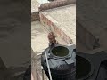 MONKEY BATHING | Water Tank | Playing | Happy  #short