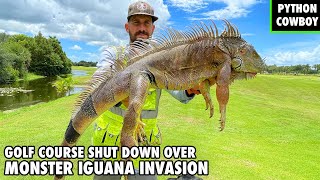 Local Golf Course Shut Down Because Of A Monster Iguana Invasion