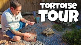 Tortoise Expert House Tour