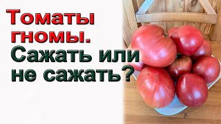 Томаты гномы.  Плюсы и минусы. Формировка и уход.