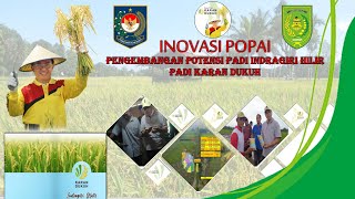 Popai Pengembangan Potensi Padi Indragiri Hilir Inovasi Dptphp Kabupaten Indragiri Hilir