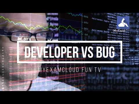 Developer vs Bug - funny video