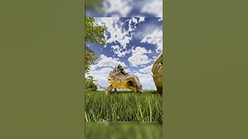 How to Tame the New Maeguana in #ark #arksurvivalascended #syntac