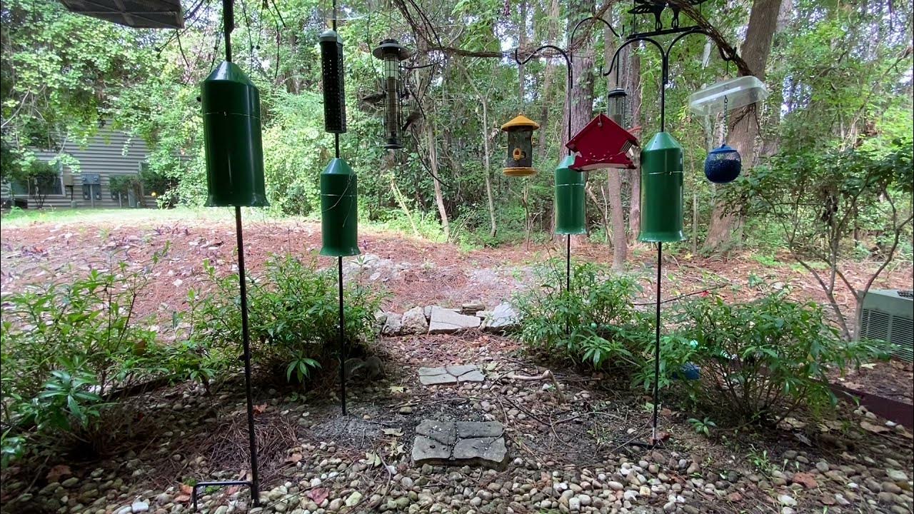 Torpedo Squirrel Baffles Work YouTube