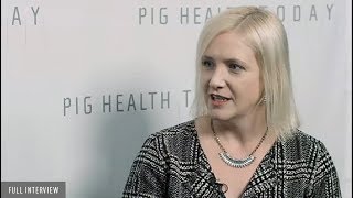 Five ways to get better returns on your swine-health program