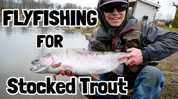 Flyfishing For Stocked Trout: How To Catch Them In Early Spring Time