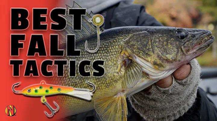 Best Fall Walleye Tactics (65 Degrees & Less)