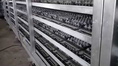 Multi layer drying line of egg tray machine