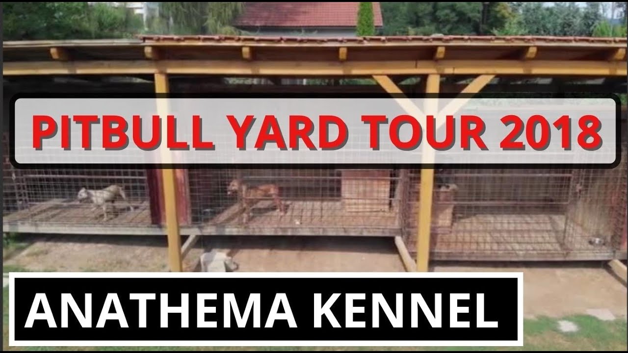 pitbull cages and kennels