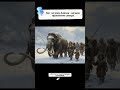 Интересные факты об Аляске под звук костра - 13 #история #интересно #длясна #Аляска #тенипрошлого