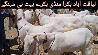 Liaqtabad Bakra Mandi Sunday Goat Market In Karachi 5th may  Bakra Price Update Qurbani 2024