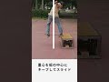 【minihowto】F/Sテールスライド - スライドのポイント #shorts