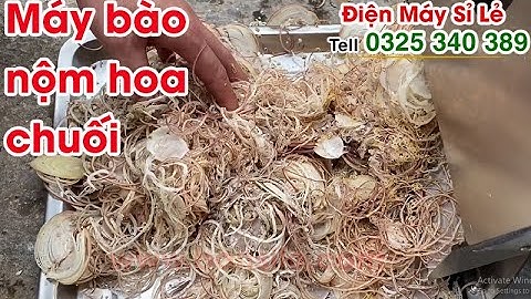 Địa chỉ bán máy thái nộm hoa chuối mini, cắt bắp chuối giá rẻ nhất hiện nay