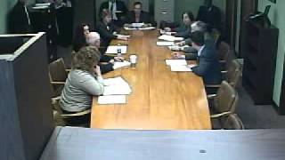 New York State Senate Committee on Higher Education 4/6/2011