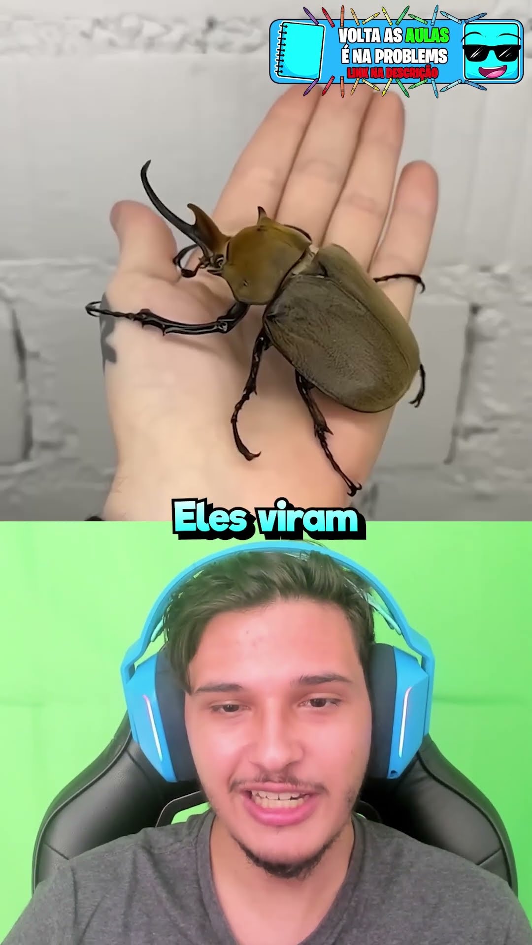 Poder do Tempo (versão insetos)