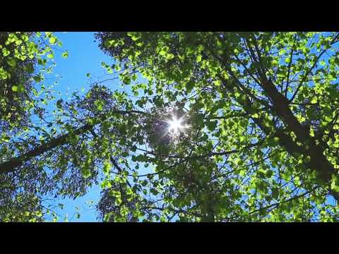 [FREE] LO-Fi Type Beat - "I SEE BLUE"