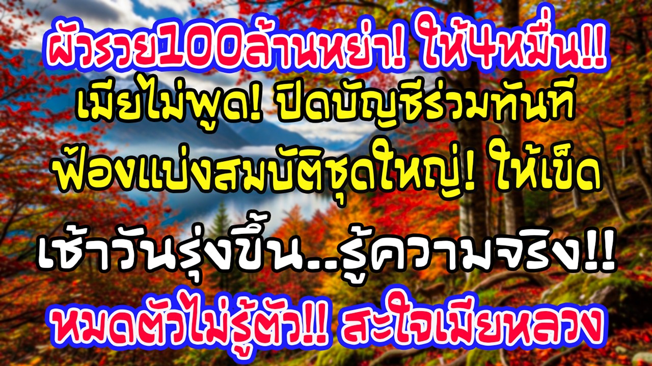 รายได้ปีละหลายสิบล้าน แต่ให้ฉัน4หมื่นแล้วหย่า ฉันปิดบัญชี-เดินหน้าแบ่งทรัพย์ เช้าเขาพังทั้งชีวิต…