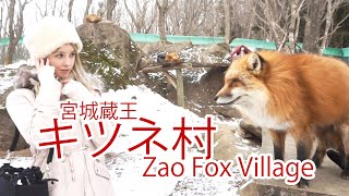 日本の冬！❄️ 宮城蔵王キツネ村行った！！🦊 Miyagi Zaō Fox Village