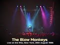 Capture de la vidéo The Blow Monkeys Live At The Ritz, New York, 28Th August 1986