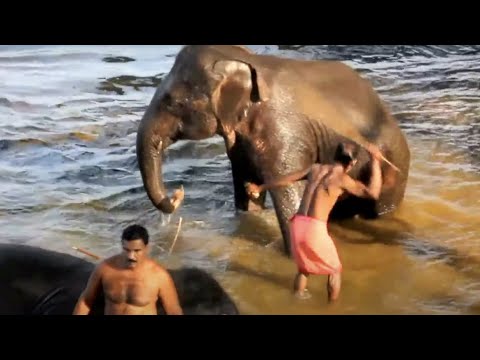 Video: Кераладагы Варкала пляжы: Негизги саякат колдонмосу