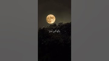 القارئ عبدالله الموسى ؛؛؛؛ اللهم صل وسلم على نبينا محمد ❤️