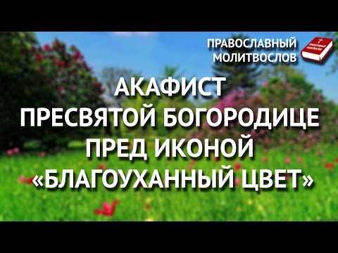 Акафист Пресвятой Богородице пред иконой «Благоуханный Цвет».