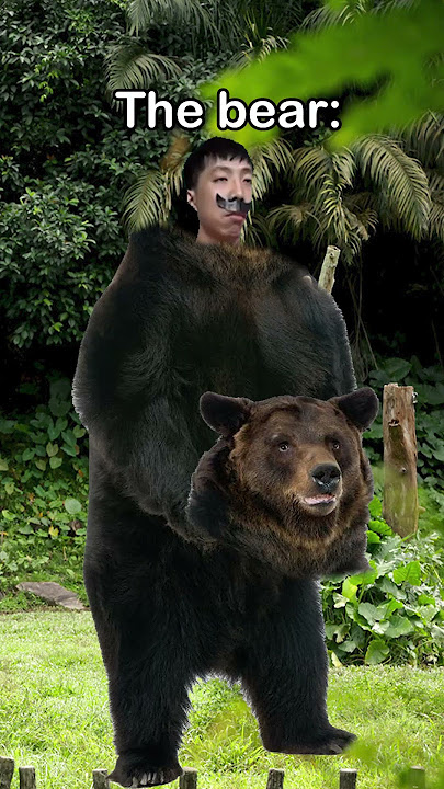 Do you think this is a bear #shorts