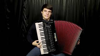 The Sound of silence - Disturbed | Accordion Cover by Stefan Bauer