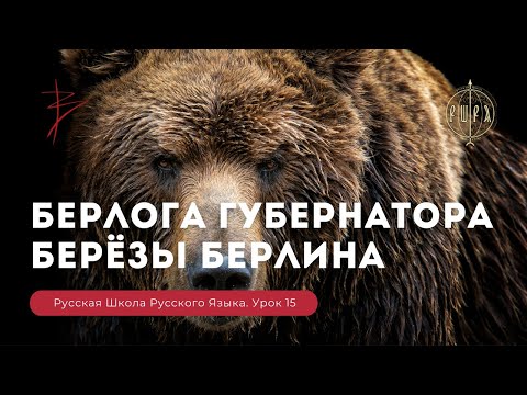 Урок 15. БЕРлога гуБЕРнатора. БЕРёзы БЕРлина - Русская Школа Русского Языка. Виталий Сундаков