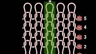 3 Introduction to warp knitting and weft knitting