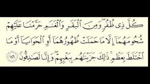 سوره الانعام قران عشاء للشيخ شعبان محمود عبد الله