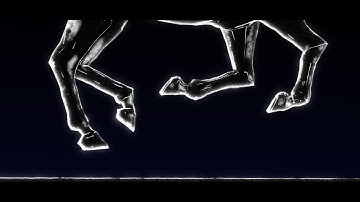Music Video. "Fire horses"