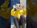 Tiktokでバズりまくってるキミに100％踊ってみた✨️ #すにすて #やなと #stpr #trending