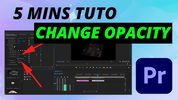 Adjust OPACITY for a Professional Look - Premiere Pro Tutorial (For Beginners)