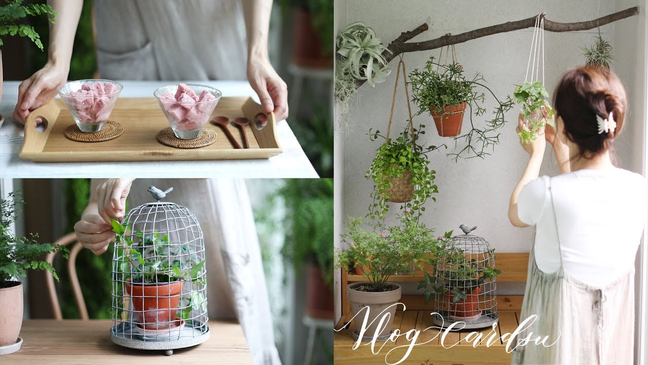 Сад балконов, который скучает по лето./ Создать раскладку/ Изготовление клубничного мороженого