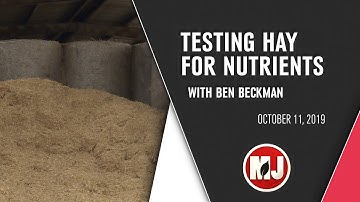 Testing Hay for Nutrients | Ben Beckman | October 11, 2019