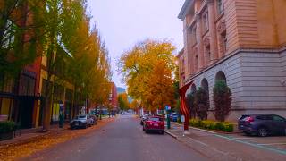 Information Downtown Portland in Peak Fall Colors - Relaxing 4K Slow-Motion Drive in Oregon News