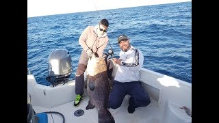 Increíble Mero Dentón de 45 KG - Amazing Big Black Grouper 45 kg