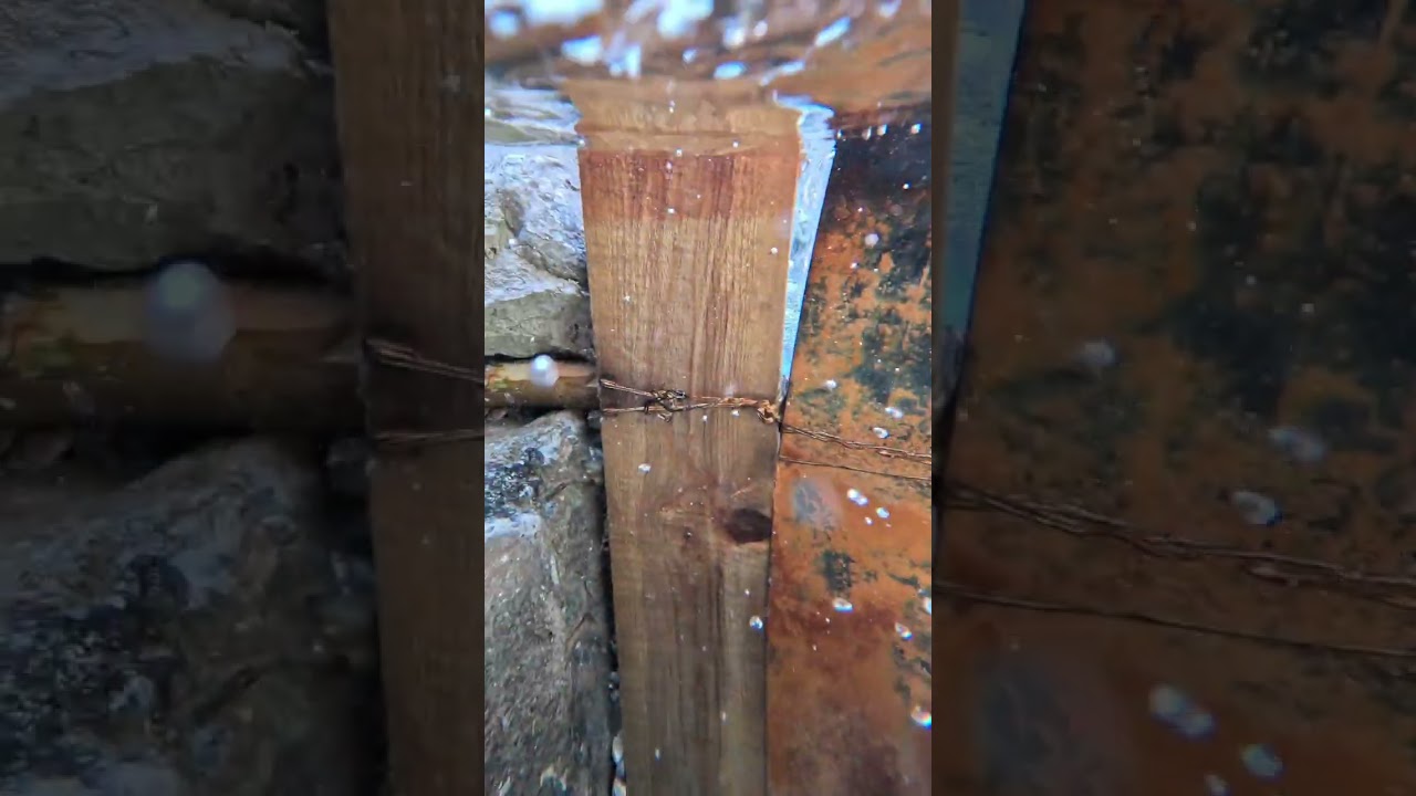 Paraíso ojos de agua balneario rústico en el Estado de morelos pueblo de cuauchichinola 