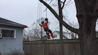 roninropeascenderont.com