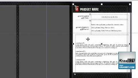Entering content into a demo template, integration of CorelDRAW template with web / database