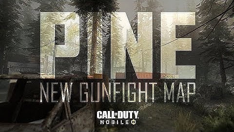 Call of duty mobile ( gunfight pine map).