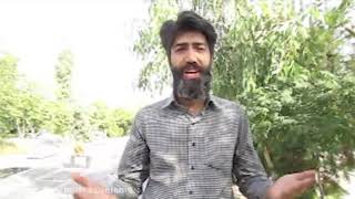 مرتضی الهی