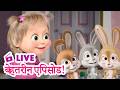 🔴 LIVE STREAM! TV 📺 माशा एंड द बेयर 🏆🎞️ बेहतरीन एपिसोड! 🌟🎬 Masha and the Bear in Hindi