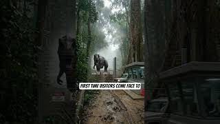 Amazon Jurassic Safari — Part 2 #trending #ytshorts #dinosaur #jungle #jurrasicworld #ai