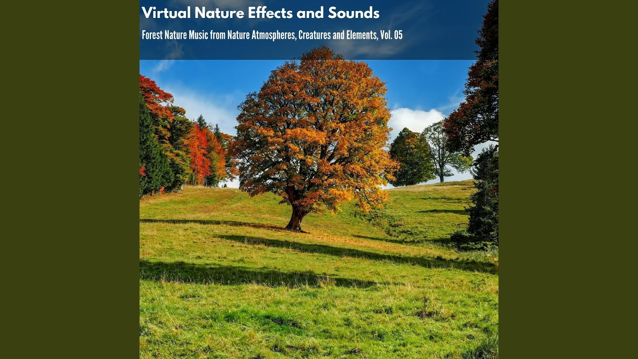 Ethereal Small Birds Plurals