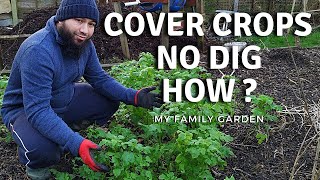 How To Use Cover Crops In A No Dig Garden